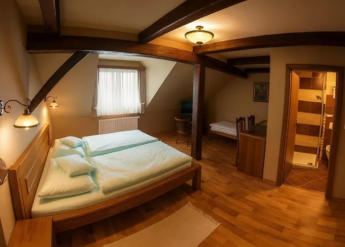 Hotel Stary Mlyn